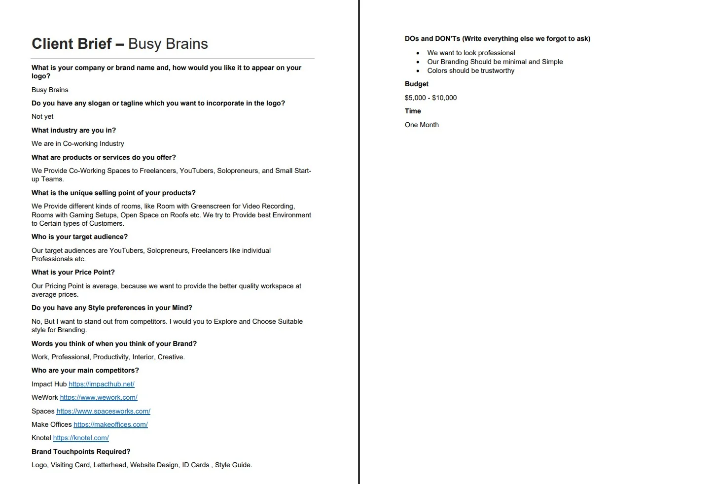Busy Brains Creative Brief